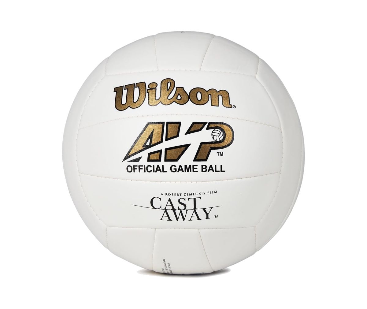 WILSON MR Castaway Volleyball — Shoptimist